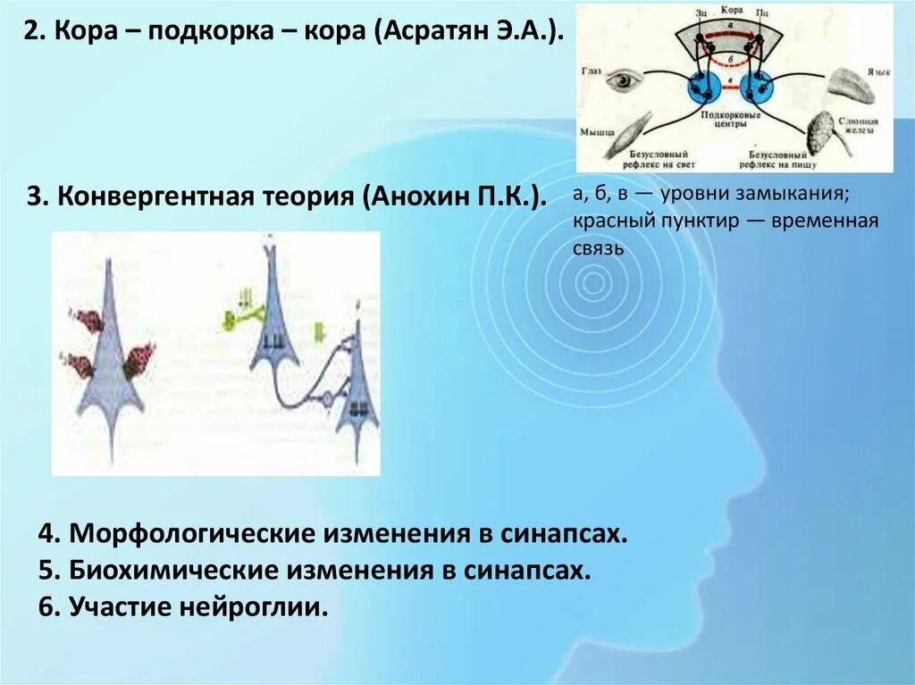 Физиология высшей нервной деятельности презентация. ВНД рефлексы. Высшая нервная деятельность презентация. Высшая нервная деятельность физиология. Что изучает физиология высшей нервной деятельности