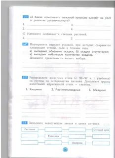 Степи проверочная работа окружающий мир 4 класс