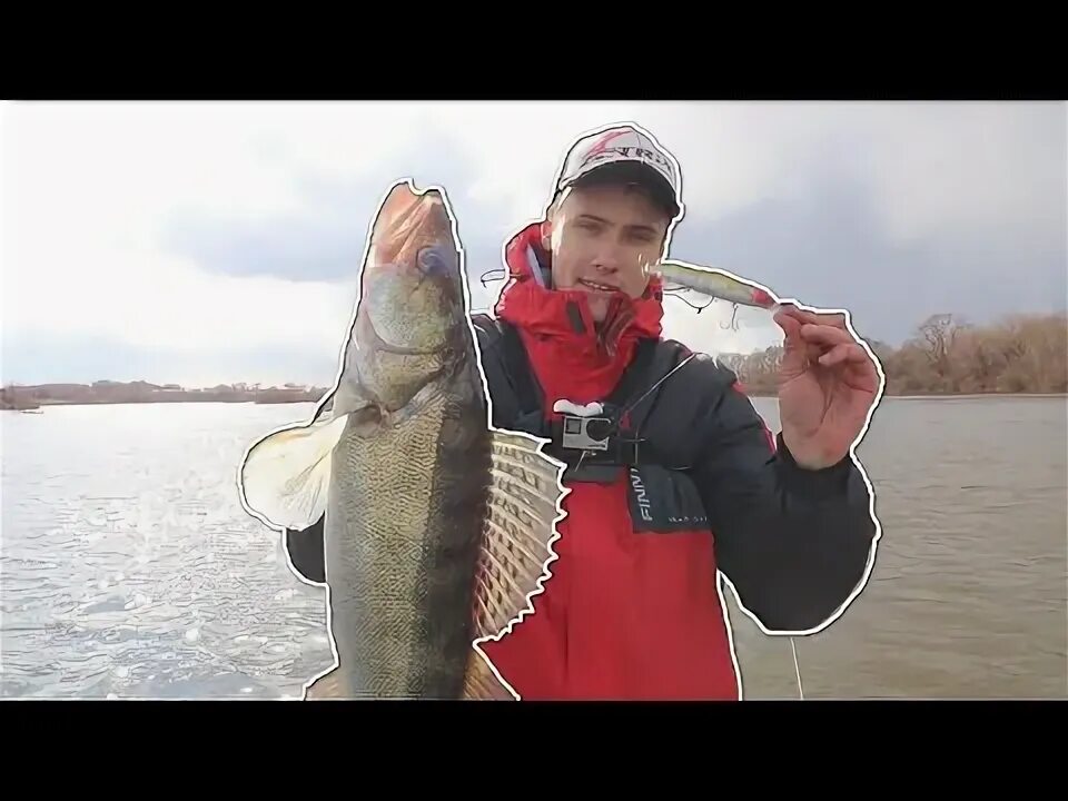 Судак на джиг видео. Воблер на судака. судак весенняя рыбалка. где искать судака весной на водохранилище.