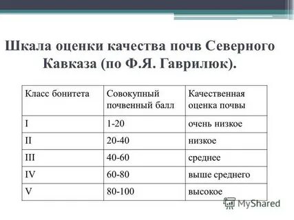 Балл бонитета