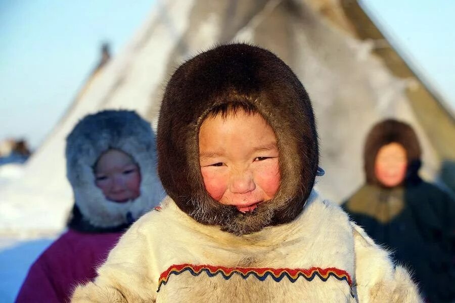 Ненцы люди. Ханты манси Эскимосы. Монголоидная раса ненцы. Ненцы Ханты манси чукчи. Чукчи Эскимосы Коряки.