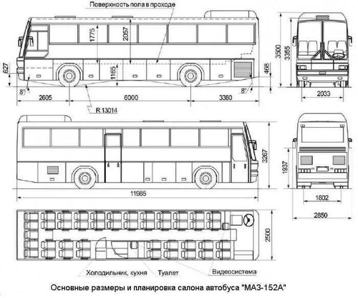 Какая длина автобуса. МАЗ-152 автобус. МАЗ 101 габариты. МАЗ 152 характеристики. Автобус МАЗ габариты.