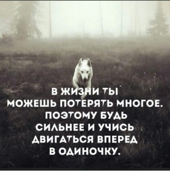 Неизвестен будь сильным. Я потерялась в жизни цитаты. Учись быть сильной в одиночку. Цитаты потерялся в жизни. В этой жизни ты можешь потерять все.