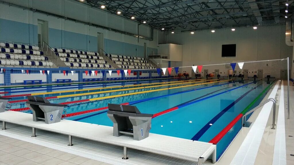 бассейн "придонской" защитников родины. дворец подводного спорта воронеж официальный сайт. бассейны города воронежа. бассейн волна воронеж новосибирская. бассейны города воронежа.