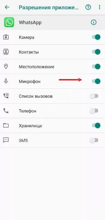 Как отключить микрофон в ватсапе. Как отключить микрофон в ватсапе