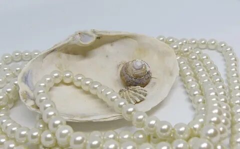 Shell pearl