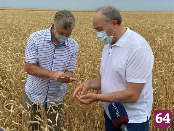 Фермеры продали 1364 т пшеницы. Фермеры продали 1364 тонны пшеницы. Фермеры продали государству 1363 тонны пшеницы.