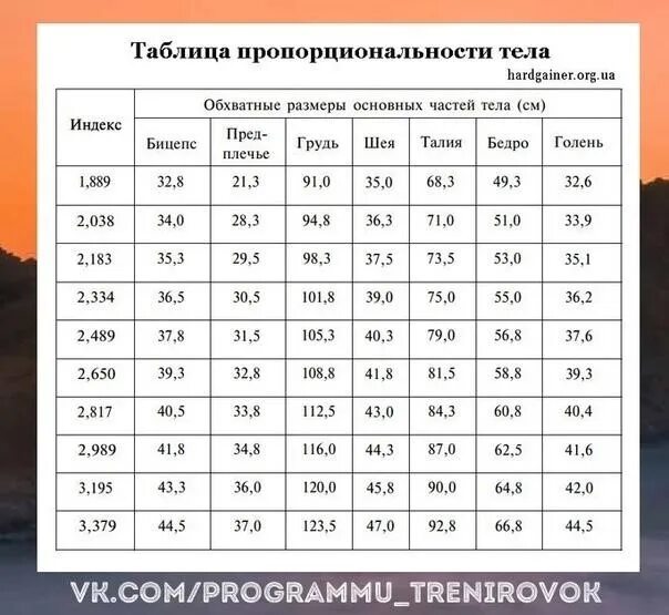 Параметры тела программа. Таблица параметров тела. калькулятор тела по параметрам. параметры тела таблица для заполнения. параметры тела по вейдеру.