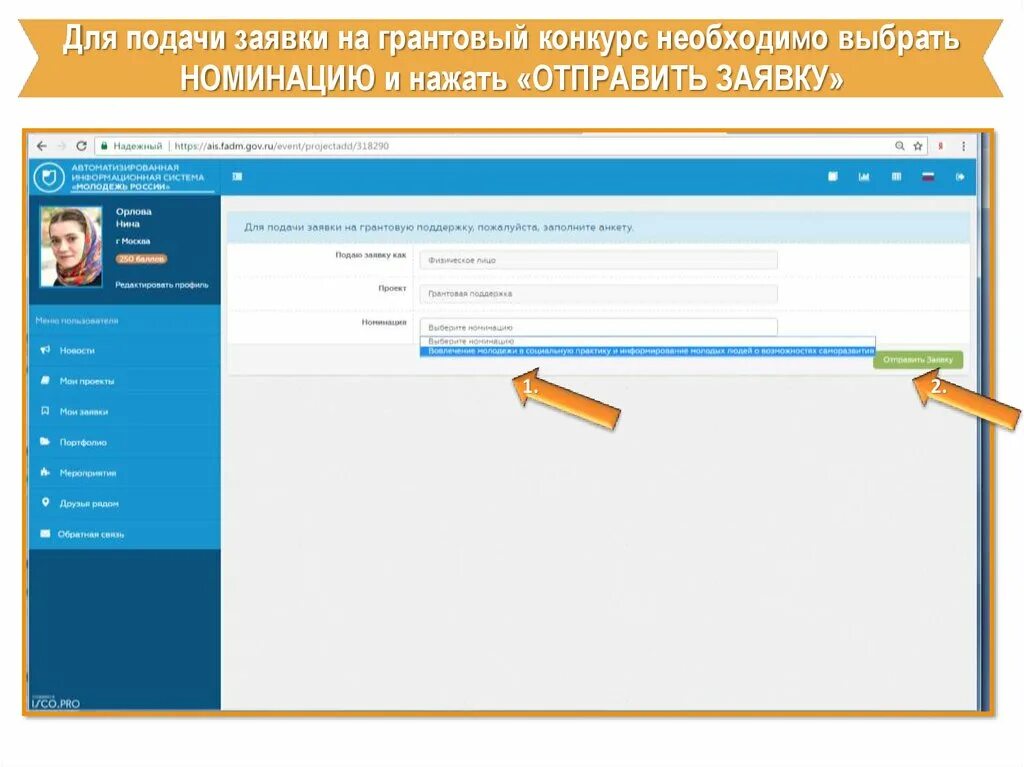 Проект заявки на грантовый конкурс