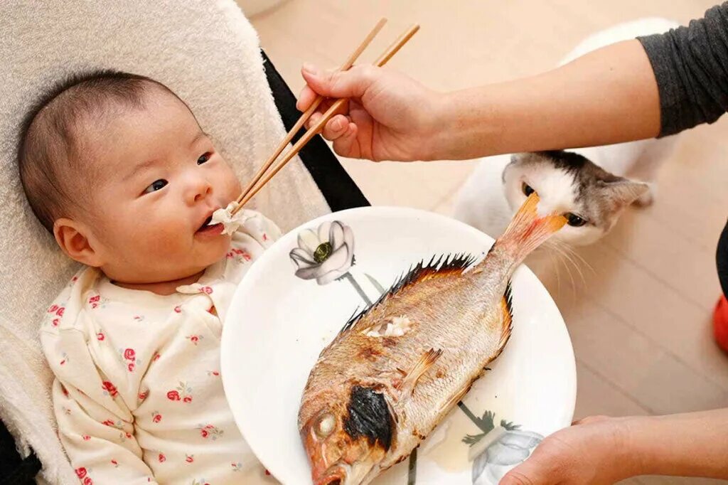 Рыба для детей. Рыба в прикорм ребенку. Ребенок кушает рыбу. Рыбные блюда для детей до года.