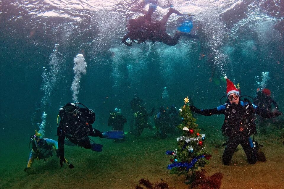 Елка под водой. Жак ив кусто подводный дом. Подводный музыкальный фестиваль, флорида-кис, сша. Дед мороз под водой. Праздники под водой.
