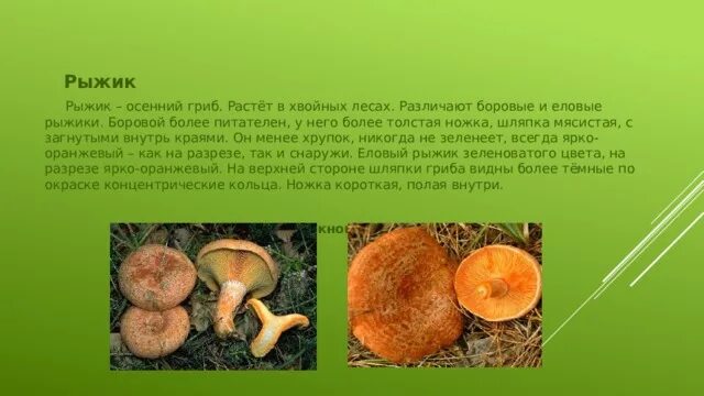 Рыжики соленые: простой способ приготовить в домашних условиях