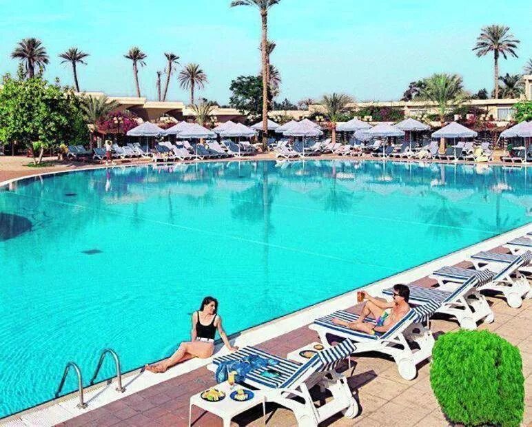 Каир вылеты. Pyramids Park Resort отель. Pyramids Park Resort Cairo 5*. Pyramids Park Resort отель в Каире еда. Pyramids Park Resort отель в Каире номера.