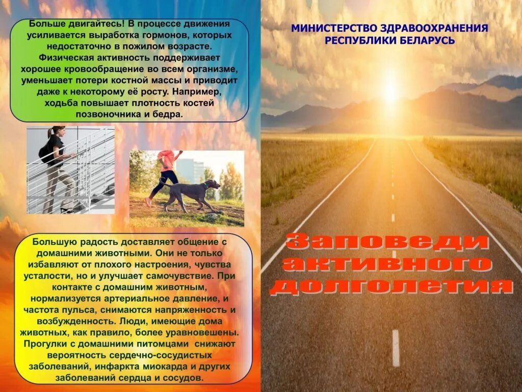 Долголетие рб. Активное долголетие буклет. Активное долголетие плакат. Активное долголетие баннер. Заповеди долголетия.