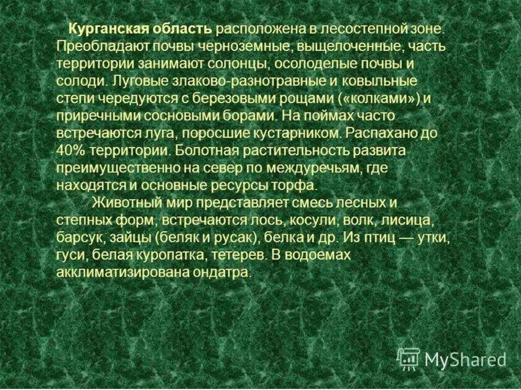 Почвы Курганской области. Почвы Курганской области презентация. Характеристика Курганской области. Основные сведения о почвах Курганской области. Богатство курганской области