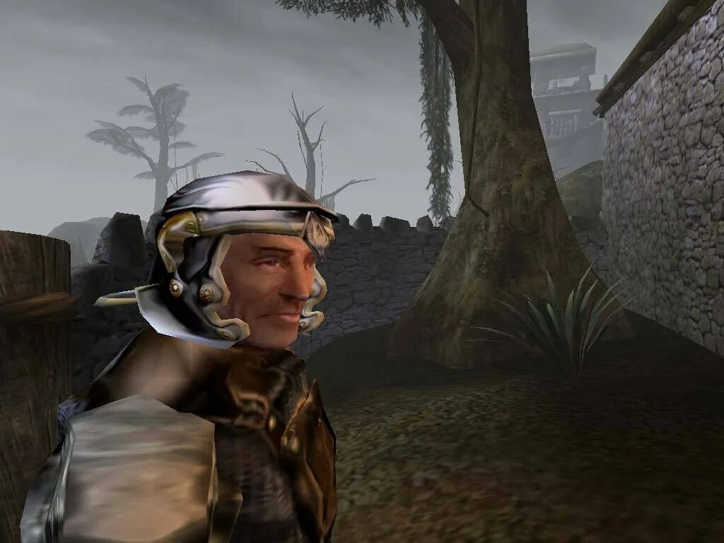 Morrowind game of the year. The elder scrolls morrowind. the elder scrolls 3 morrowind игра. the elder scrolls 3 морровинд. игра морровинд 3.