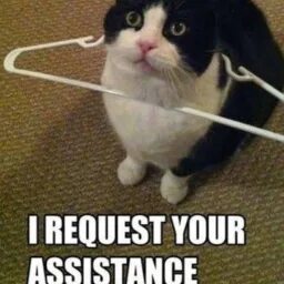 One request