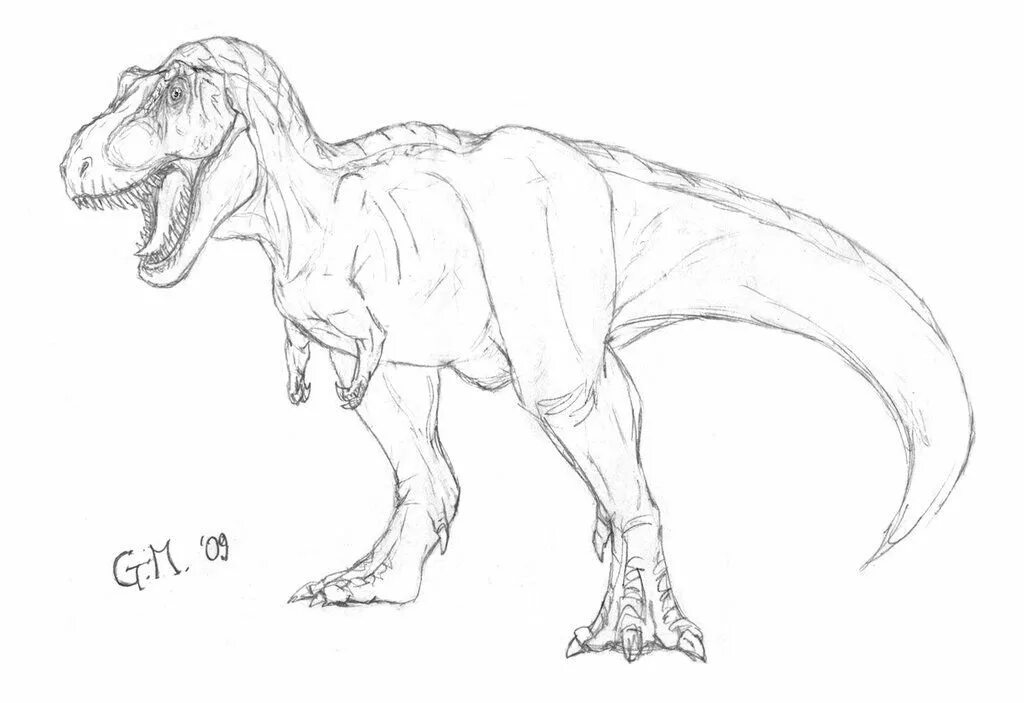 Картинки динозавров нарисовать. Тираннозавр рекс для рисования. Рисунки динозавров для срисовки. Рисунок динозавра карандашом для срисовки. Динозавр рисунок.