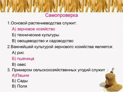 Тест сельское хозяйство растениеводство 9 класс