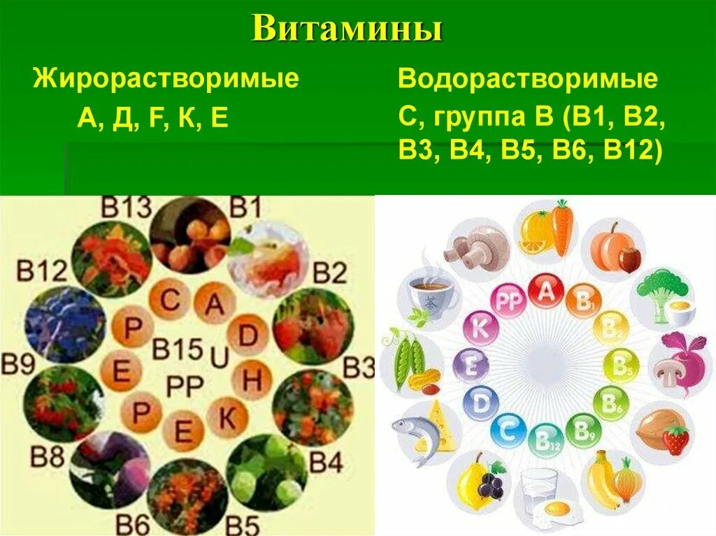 Водорастворимые витамины. Водорастворимые витамины группы в. Водорастворимые витамины и жирорастворимые витамины. Витамин е водорастворимый. Водорастворимые витамины примеры