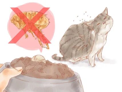 Деменция у кошек признаки