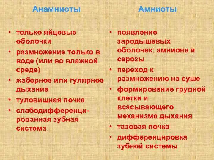 Появление яйцевых оболочек. Анамнии и амниоты. Сравнение анамний и амниот. Сравнительная таблица анамний и амниот. Анамнии и амниоты различия.