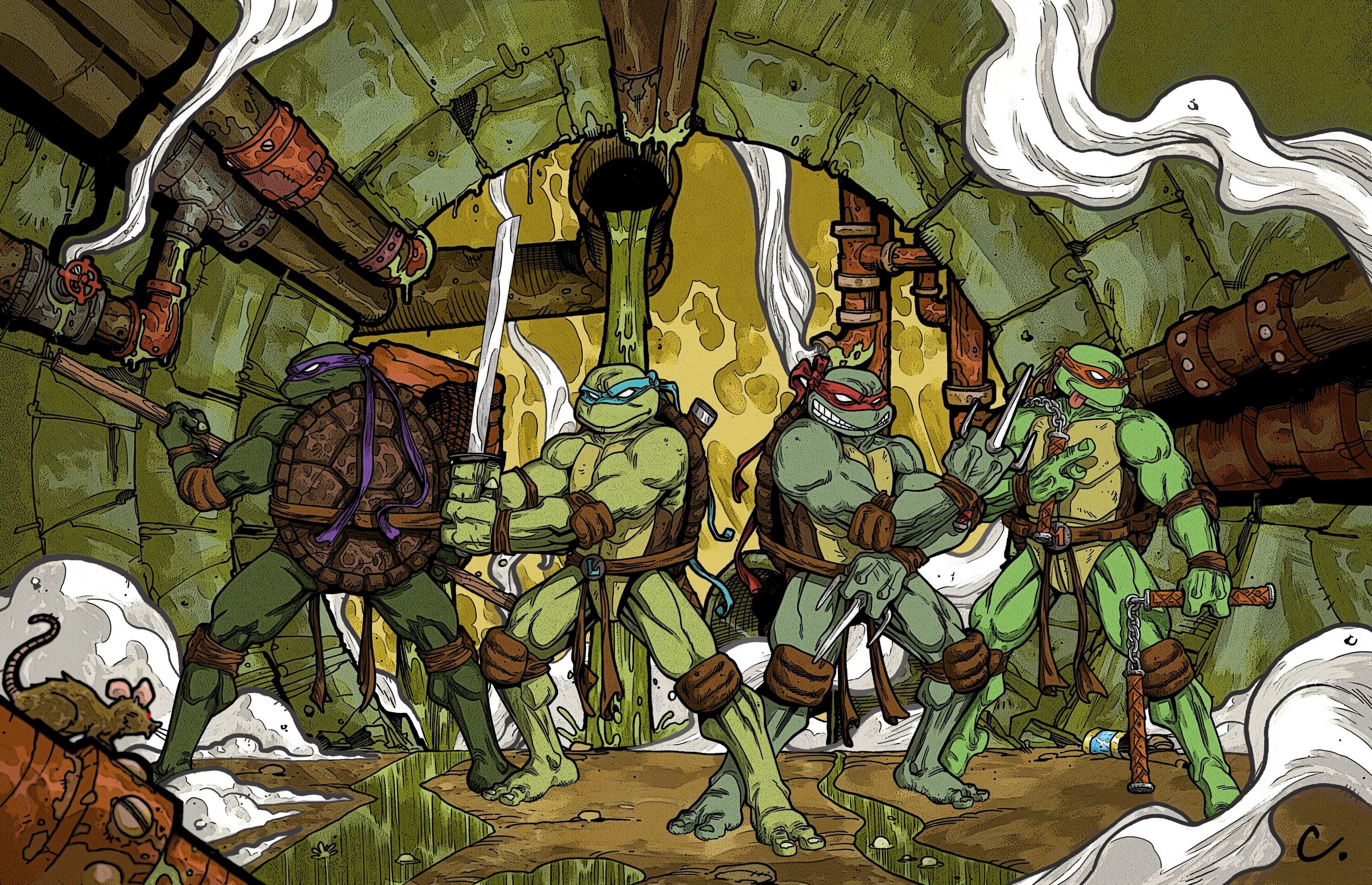 Tmnt art. Донателло Черепашки ниндзя 1987. Черепашки ниндзя 2003 Донателло. Черепашки ниндзя комиксы.