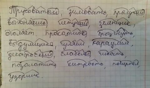 Зимовщик по составу
