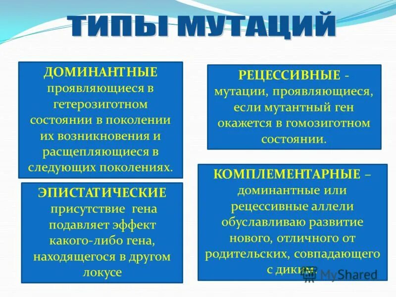 Что такое доминантные проявления мутации. Доминантные и рецессивные мутации. Гетерозиготная мутация Гена. Мутации проявляющиеся в гетерозиготе. Муха доминантные и рецессивные