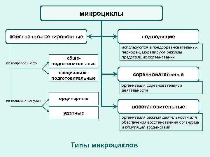 Виды микроциклов спортивной тренировки. Построение спортивной тренировки. Схема тренировочного процесса. Методика построения спортивной тренировки.. Микроцикл в спорте