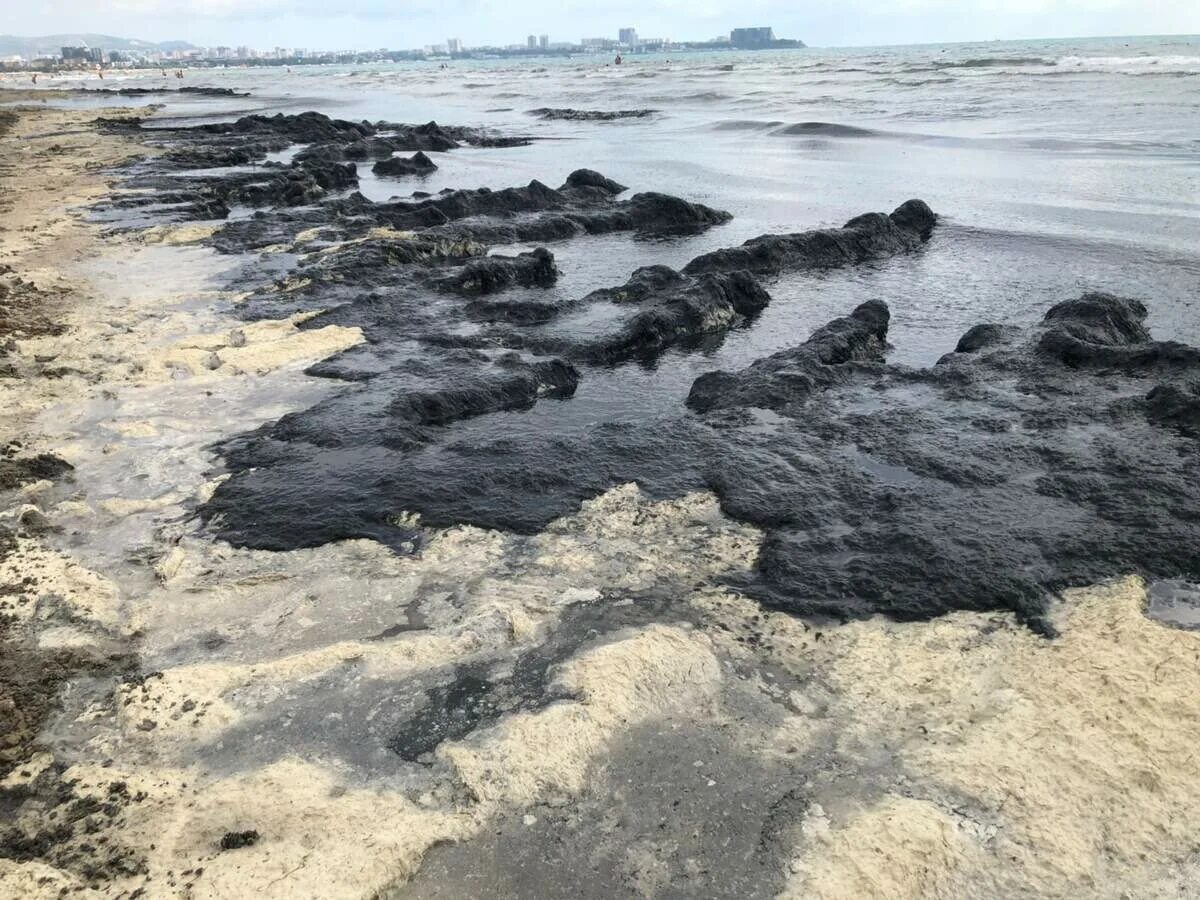 Анапа черное море Анапа черное море. Анапа море 2022. Анапские водоросли. Анапа водоросли. Вода в анапе на 14