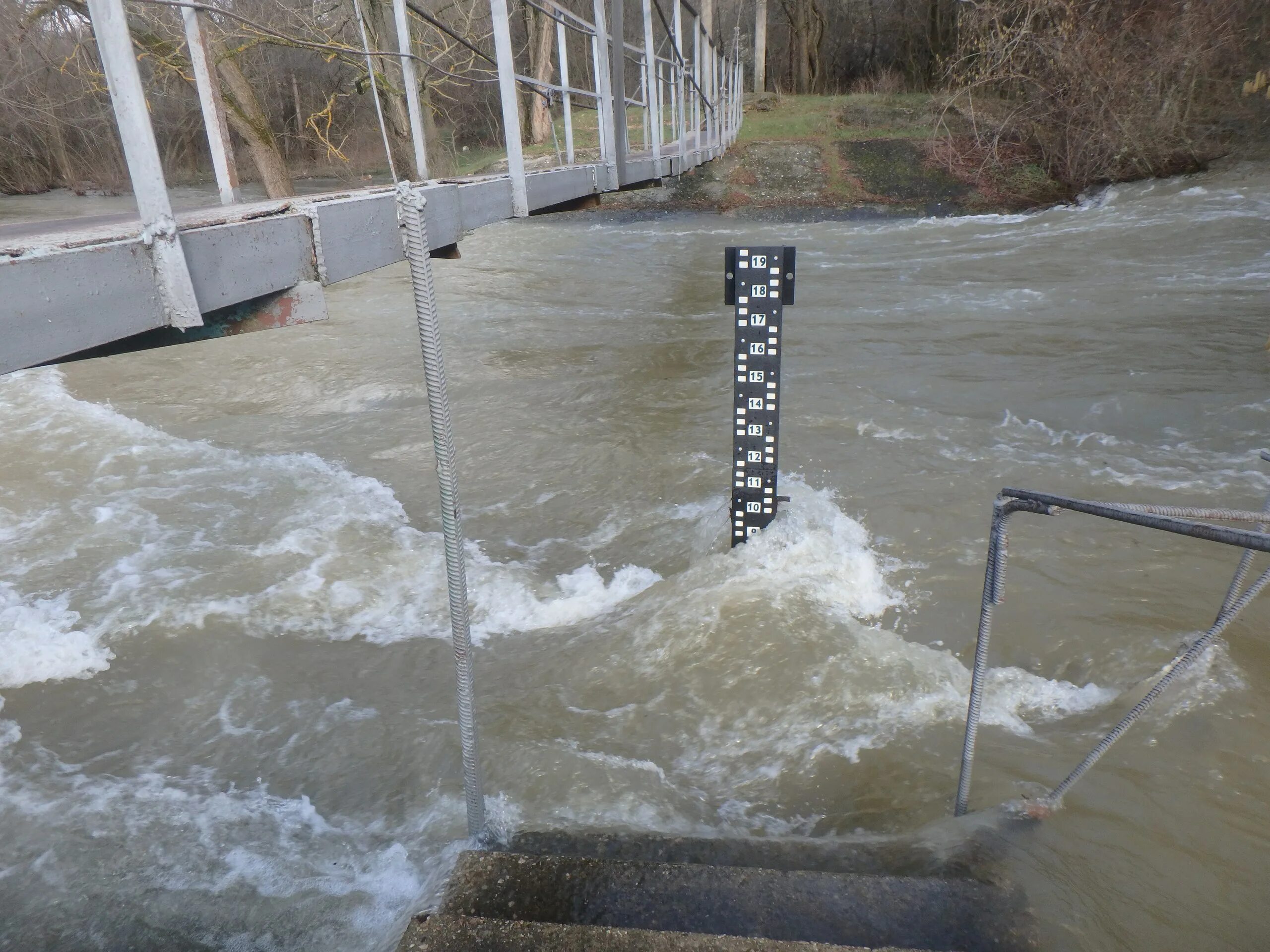 Какой уровень воды в зверинке