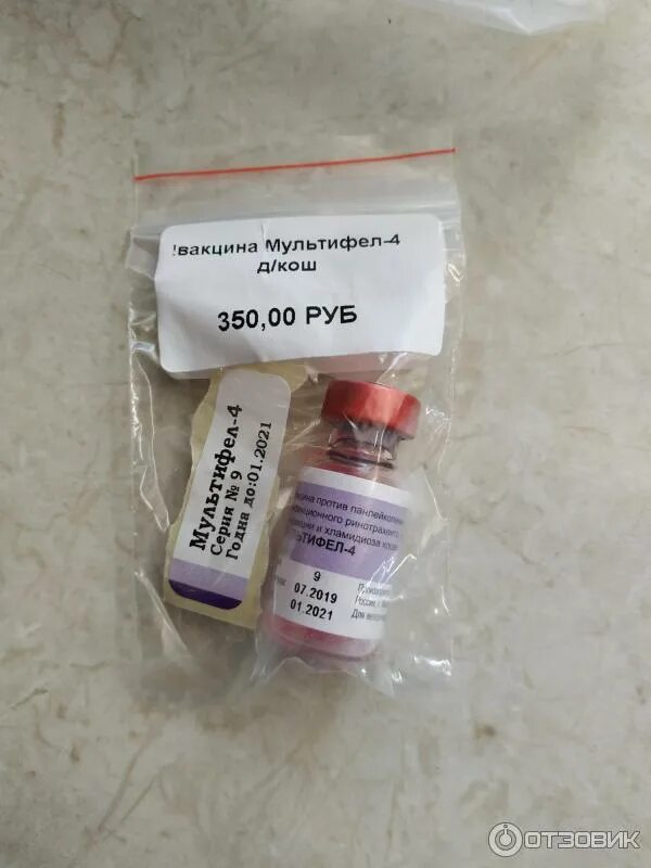 Мультифел-4. Вакцина мультифел для собак. Мультифел вакцина отзывы. Мультифел и мультифел 4 отличия. Мультифел-4 для кошек.