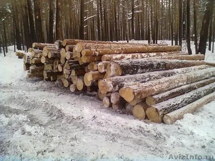 Строевой лес