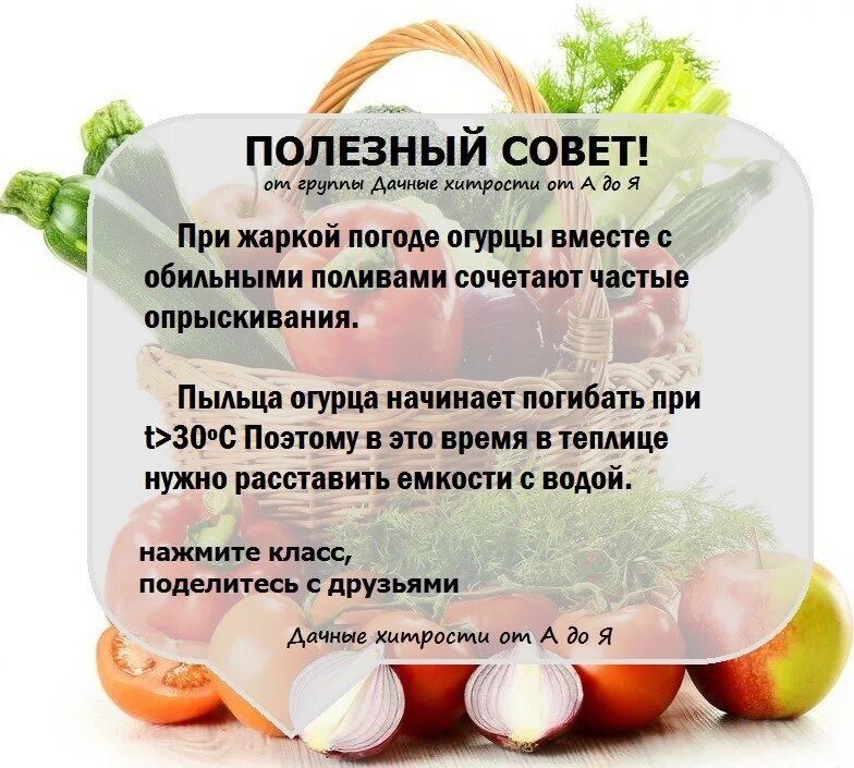 Полезное другими словами. Советы для огородников и садоводов. Полезные советы. Полезные советы для огородников. Сад и огород полезные советы.