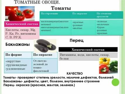 Томатная группа овощей