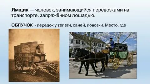Облучок это