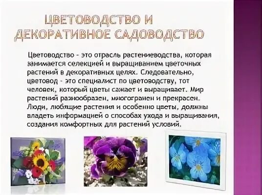 Растения города декоративное цветоводство конспект 7 класс
