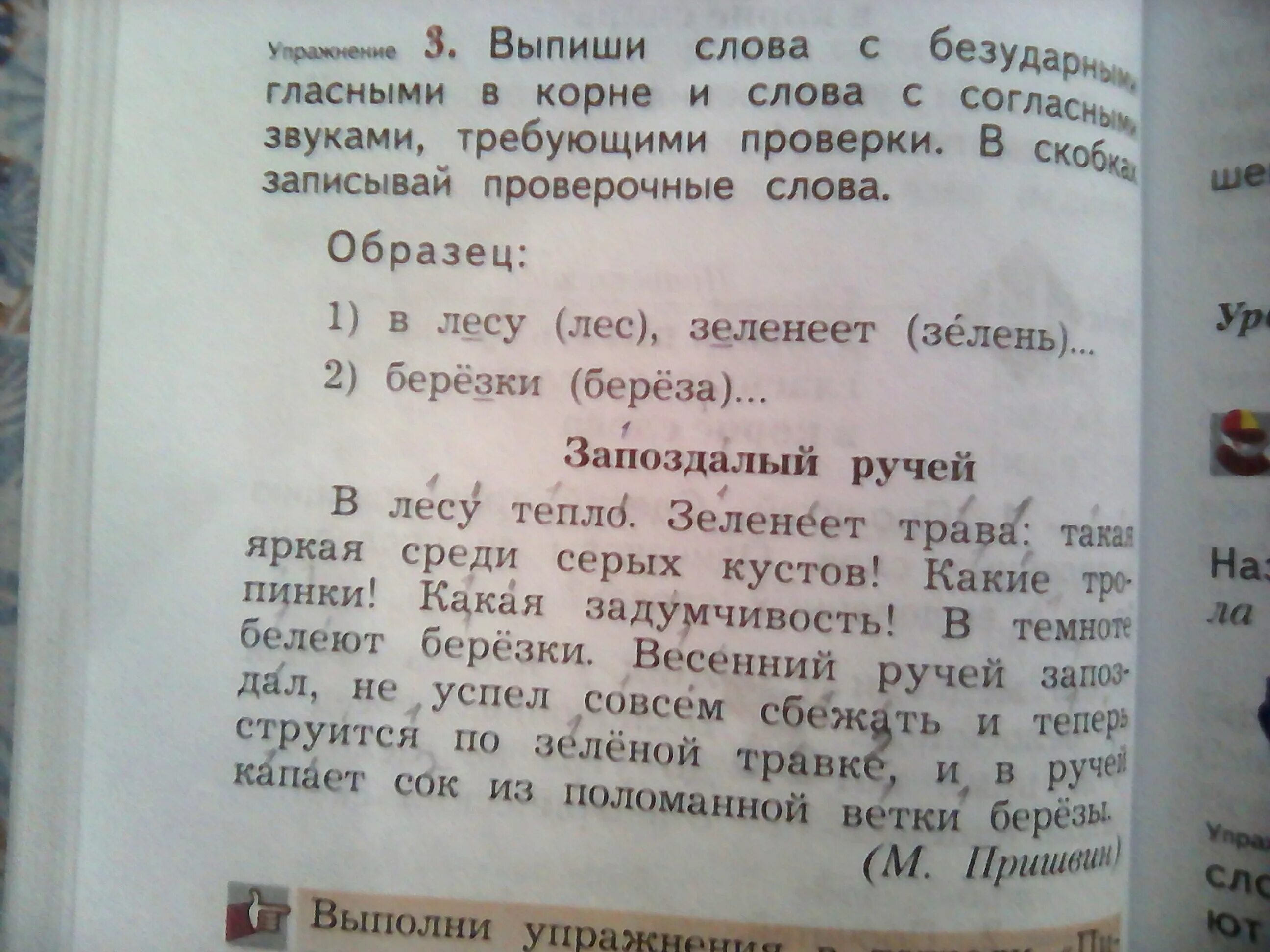 Выпиши слова с безударным гласным звуком в корне. Выпиши слова с безударными гласными звуком в корне. Выпиши слова с безударным гласным звуком. Выпиши слова. Дорожка 8 текст