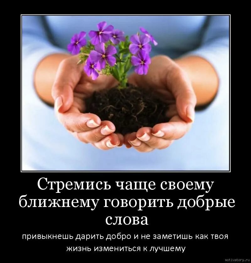 Дарить добро просто. Радость жизни цитаты. радостные высказывания. цветок доброты. маленькие радости высказывания.