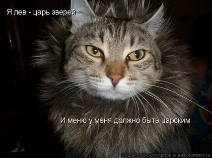 Я царь зверей