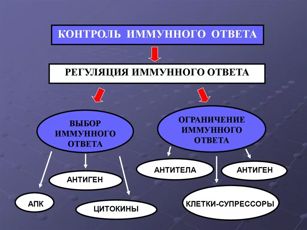 Иммунный контроль. Регуляция иммунного ответа. Регуляция иммунных реакций. Регуляция иммунитета. Контроль и регуляция иммунного ответа.