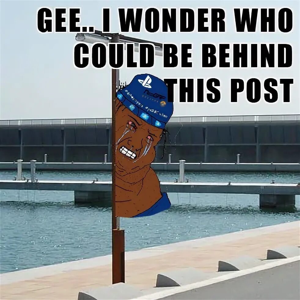 Дональд трамп q anon. Котик хвастается фото. This post. This post. This post.