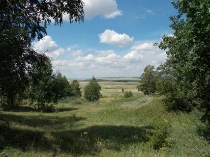 Медведицкую гряду