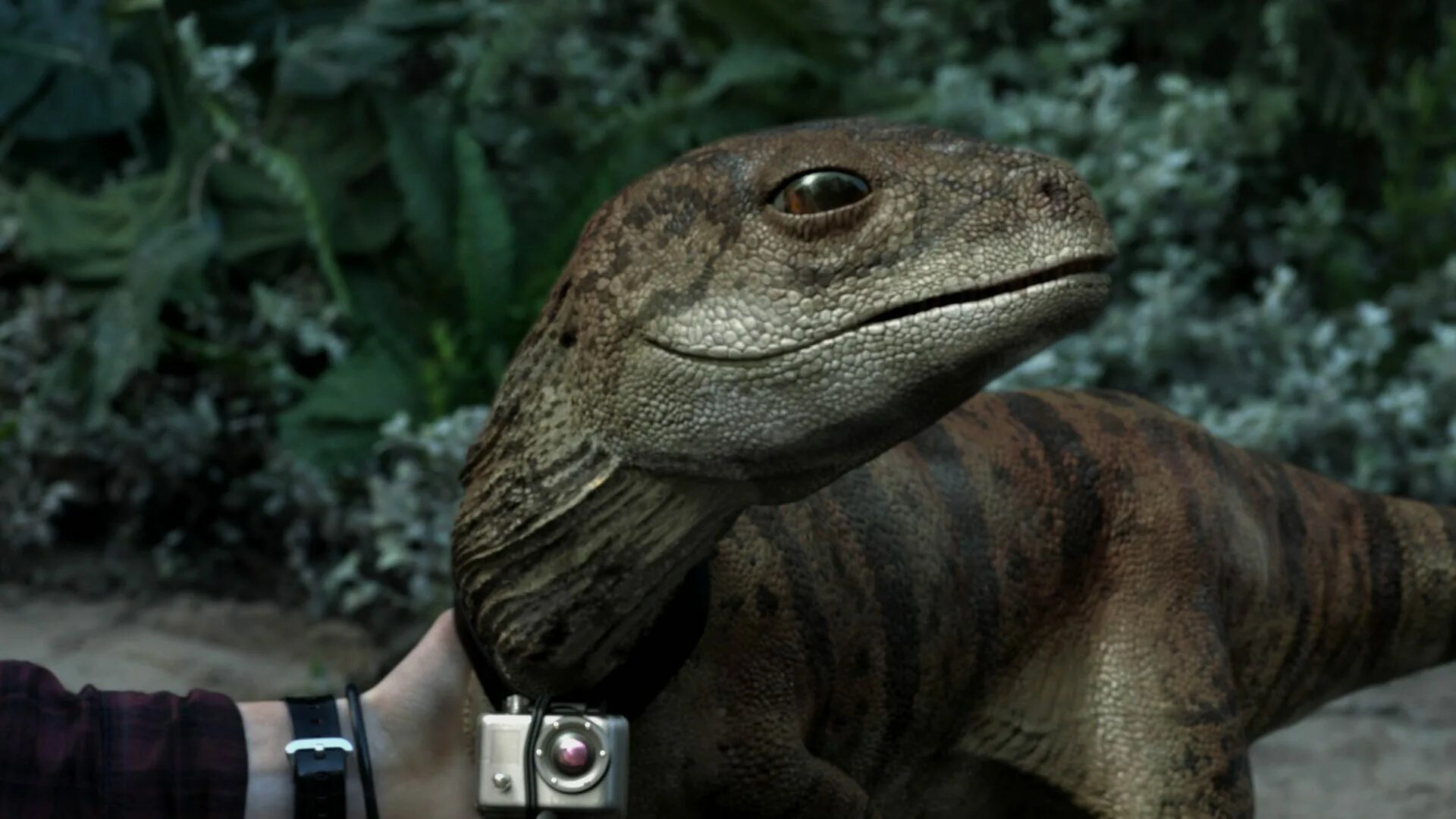 Динозавр 2000 аладар. Белый динозавр приложение. Чудные динозавры. Приложение динозавры. Динозавр на роликах.