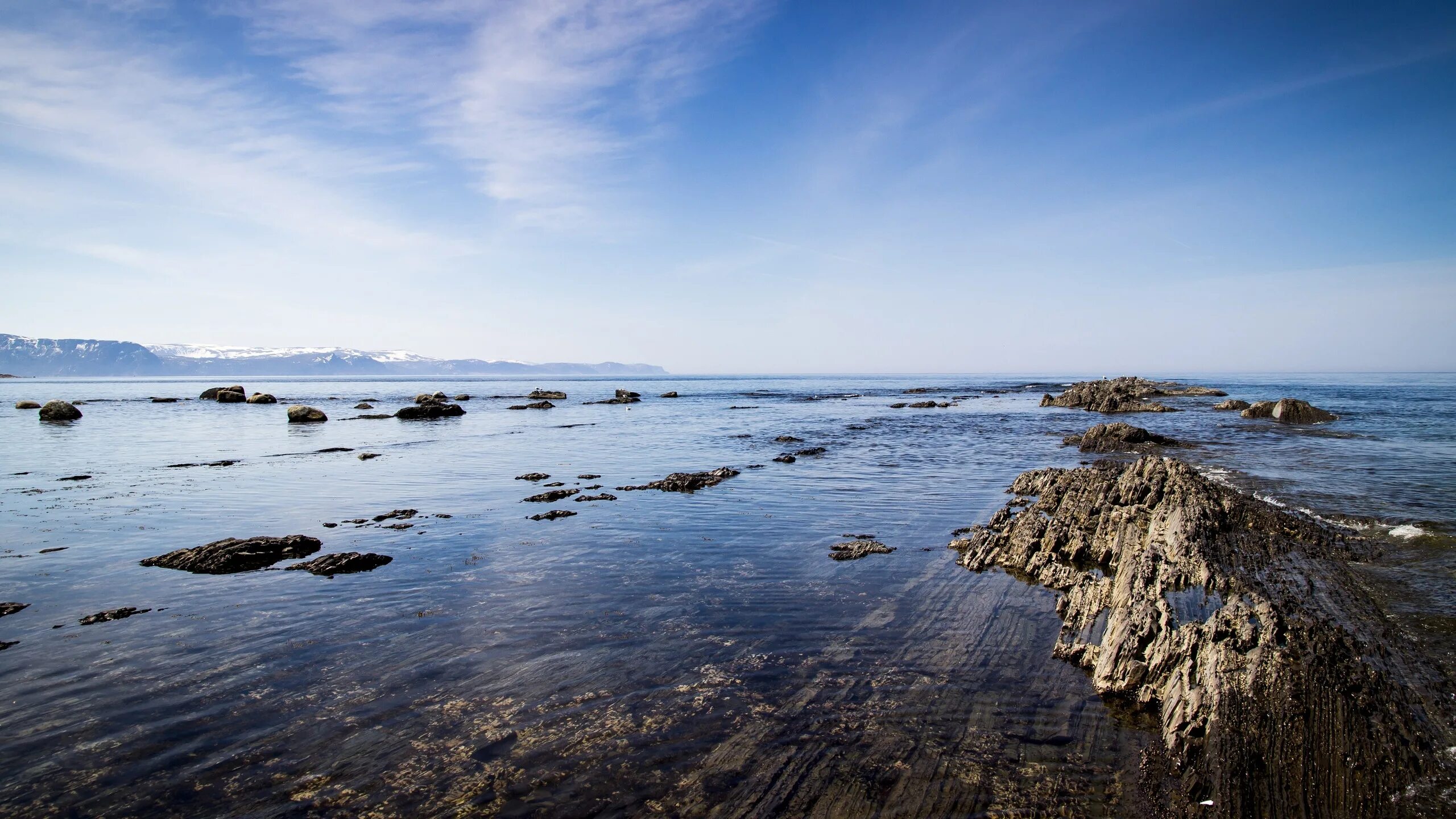 Скалистый пляж. Пейзаж море. Каменистый берег. Скалистый берег моря. Coast water