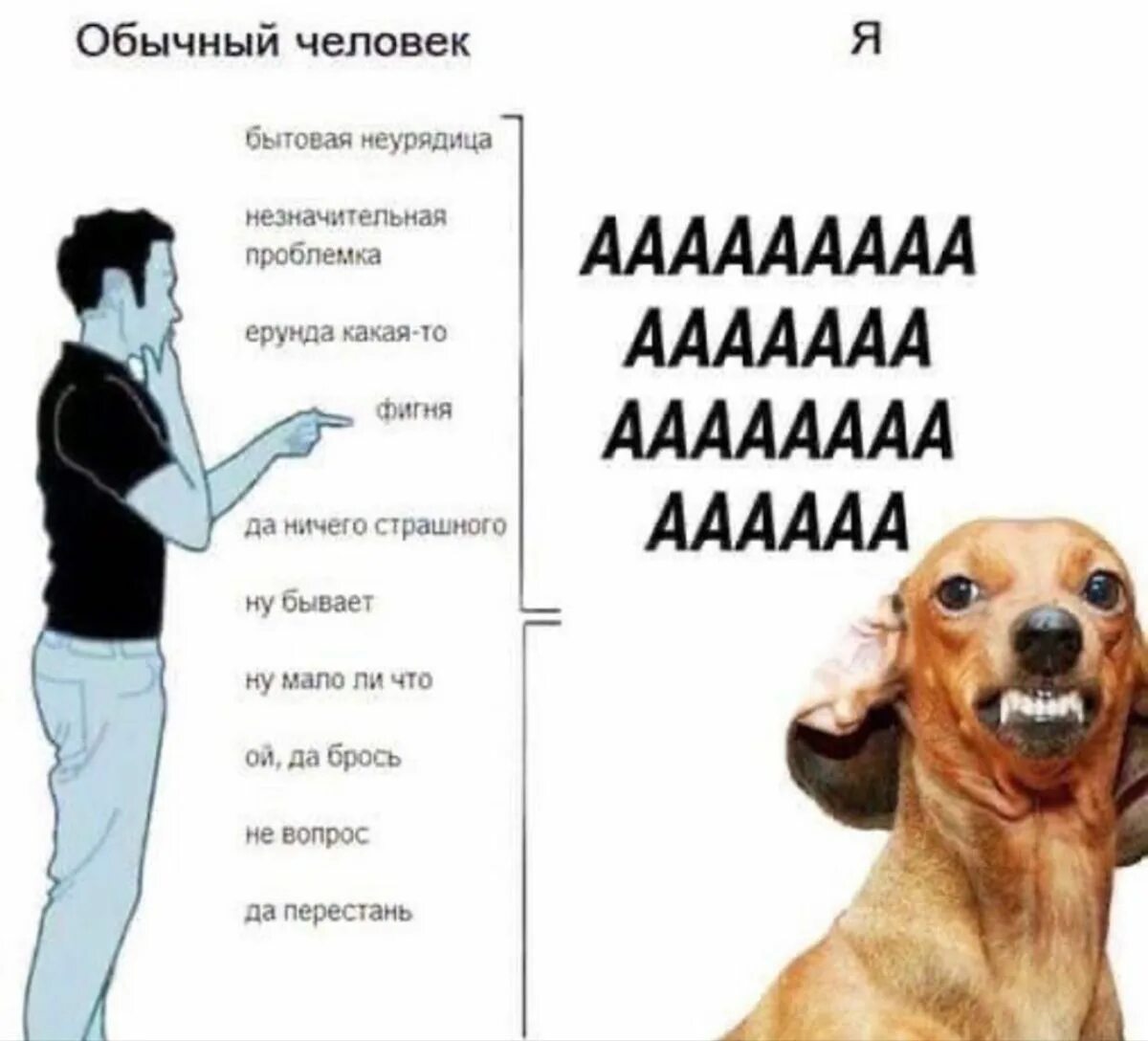 Ничего страшного бывает. Мем тяу-тяу-тяу-тяу. тотемное животное мем. так что ничего страшного.