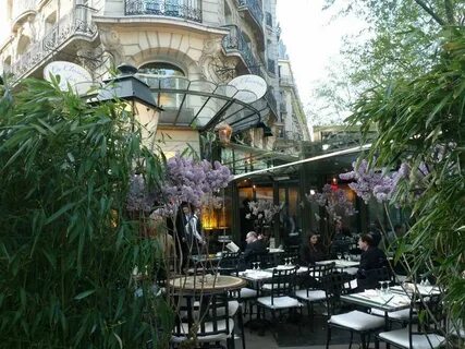 Des lilas