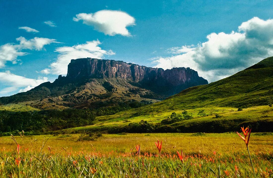 Природные особенности венесуэлы. Гора Кукенан, Венесуэла. Плато Рорайма, Бразилия, Венесуэла, Гайана. Венесуэла горы Тепуи. Столовые горы Рорайма Венесуэлы.
