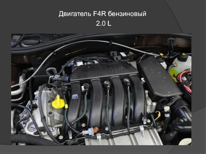 1 4f. Двигатель f4r Рено Дастер. F4r donc 4r. Датчики на двигателе f4r. K4m 606 двигатель Дастер.